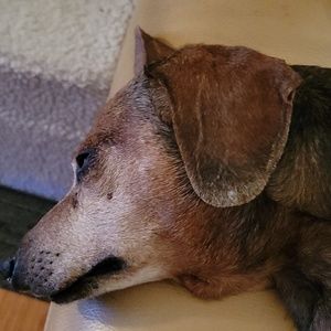 Meet your Posher, Roberta